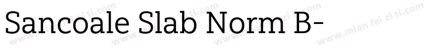Sancoale Slab Norm B字体转换